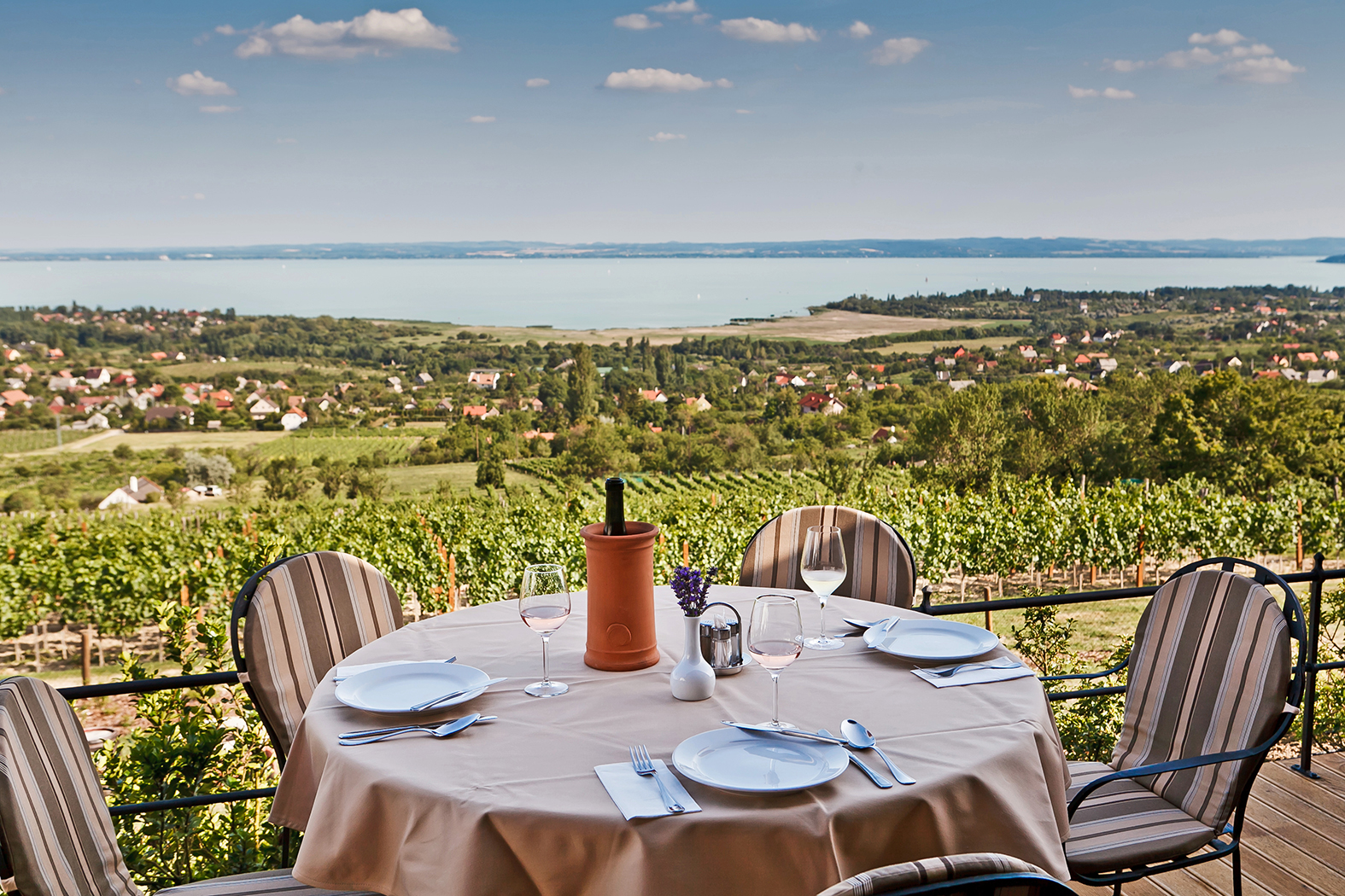 balaton bor